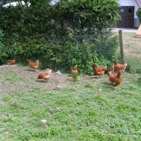Spacieux Et Confortable Au Val D'ajol, A Proximite De Plombieres-les-bains, Animaux De Ferme ! - Fr-1-589-139 *